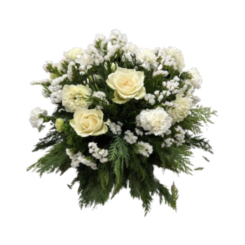 Centro White